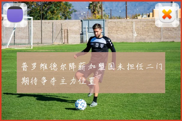 普罗维德尔降薪加盟国米担任二门期待争夺主力位置